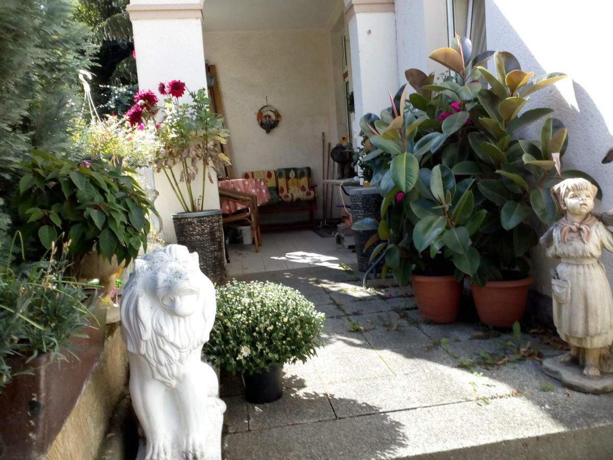Dach-Studio-Runkel Schadecker Strasse 6 Extérieur photo
